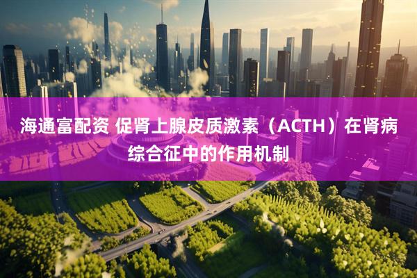 海通富配资 促肾上腺皮质激素（ACTH）在肾病综合征中的作用机制
