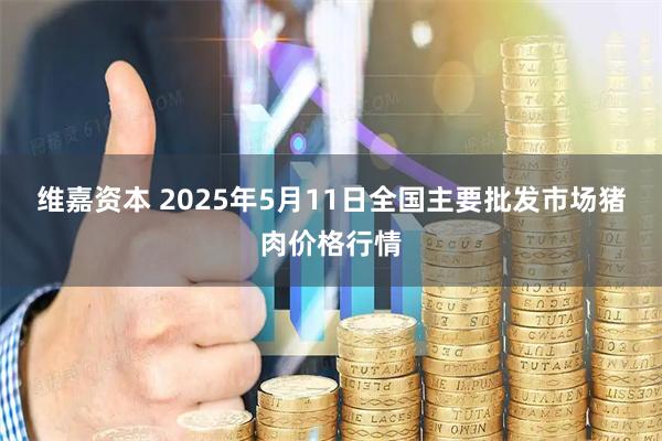维嘉资本 2025年5月11日全国主要批发市场猪肉价格行情
