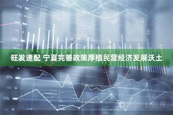 旺发速配 宁夏完善政策厚植民营经济发展沃土