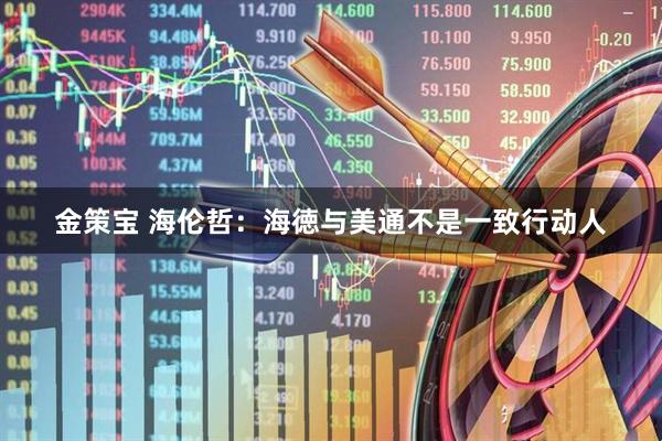 金策宝 海伦哲：海徳与美通不是一致行动人