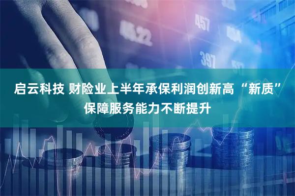启云科技 财险业上半年承保利润创新高 “新质”保障服务能力不断提升